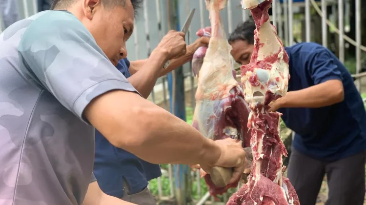 Lapas Kelas IIB Nunukan Terima Hewan Qurban Sebanyak Tiga Ekor Sapi