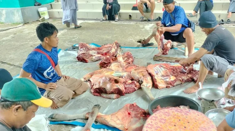 Tips Memasak Daging Kambing agar Empuk dengan Aroma yang Tidak Menyengat