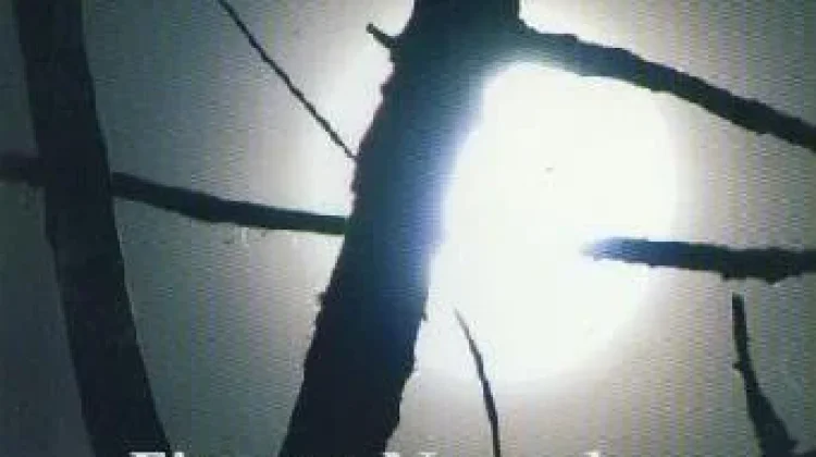 Menyusuri Riam Takdir dalam "Bulan di Atas Sungai"