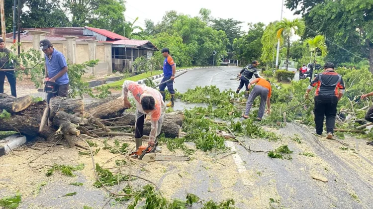 Polres Nunukan Apresiasi Sinergi Penanganan Pohon Tumbang