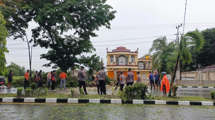 Warga Bersyukur Penanganan Pohon Tumbang Cepat di Selesaikan