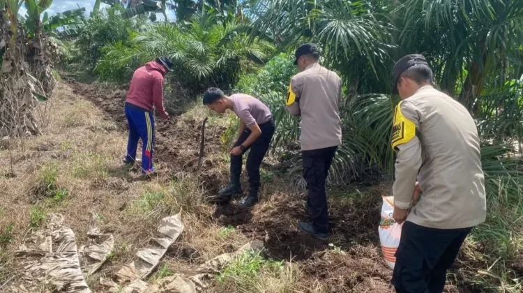 Polri dan Petani Sebuku Bersatu Wujudkan Swasembada Pangan