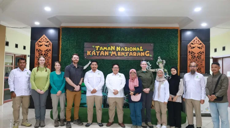 BRIN dan Smithsonian Teliti Mamalia Endemik Borneo di TN Kayan Mentarang
