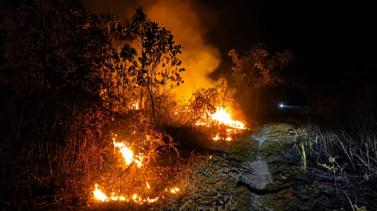 BPBD Petakan Seluruh Kecamatan Rawan Karhutla, Warga Diminta Tidak Bakar Lahan
