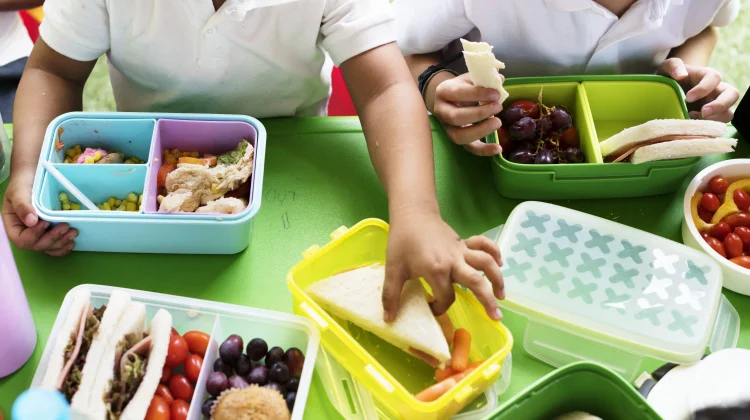 Pentingnya Memilih Makanan Jajanan Aman dan Bergizi Sehat