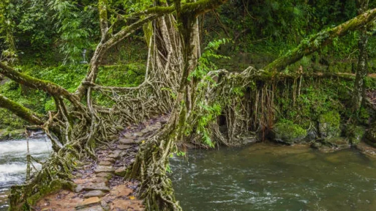 Mawlynnong Desa Terbersih di Asia yang Dijuluki Taman Milik Tuhan