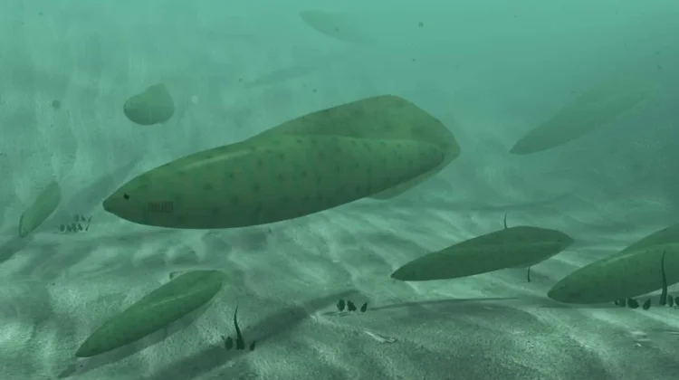 Misteri Haikouichthys: Kakek Buyut Semua Hewan Bertulang Belakang