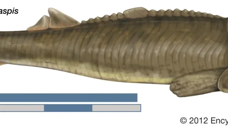 Era Ostracodermi-ketika Ikan memilih "berzirah" untuk menguasai Lautan Purba