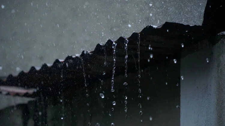 Petrichor : Aroma Khas Hujan akibat Reaksi Bakteri