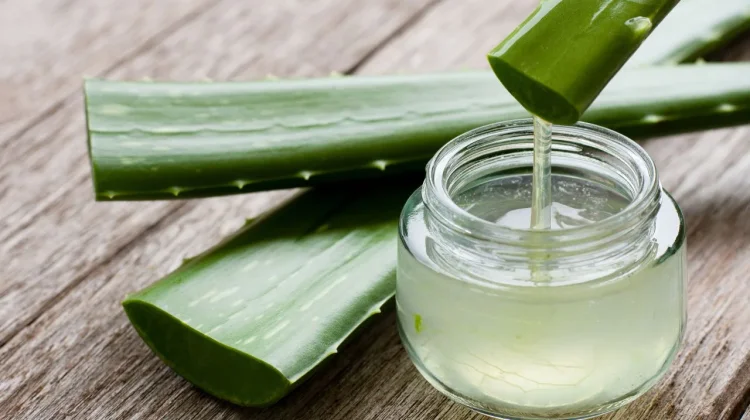 Manfaat Gel Lidah Buaya untuk Hilangkan Bekas Luka