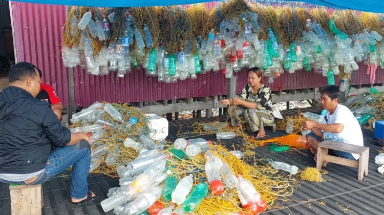 Harga Rumput Laut Naik, Usaha Budidaya di Nunukan Kembali Menggeliat