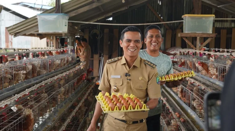 Peternak Ayam Minta Bupati Atasi Listrik dan Stabilkan Harga