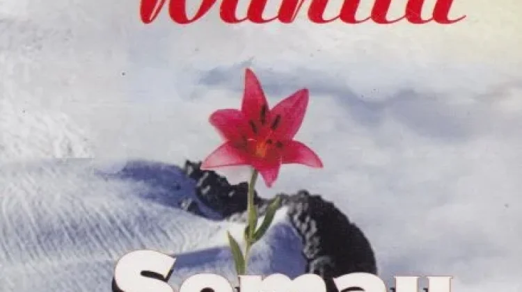Refleksi Kritis Atas Buku "Jangan Taruh Wanita Semau Udelmu"