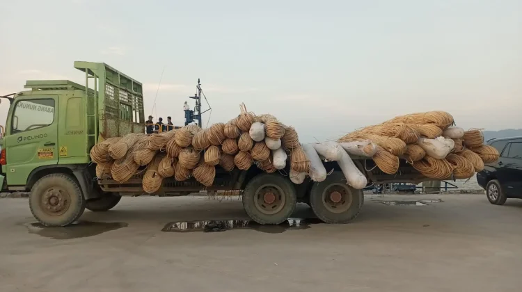 Bea Cukai Gagalkan Penyelundupan Puluhan Ton Rotan Tujuan Malaysia