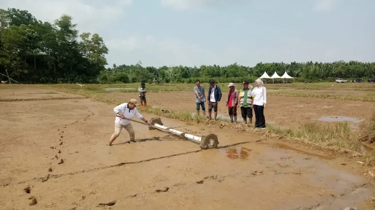KelompokTani Maju Mandiri Sejahtera di Desa Binusan Tanam Padi Bersama