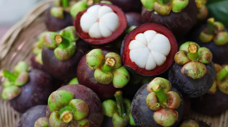 Manfaat Buah Manggis