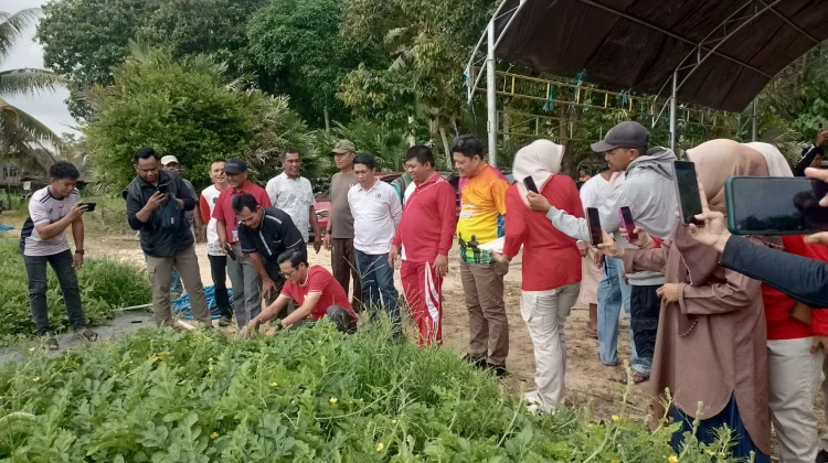 Pemerintah Daerah Kabupaten Nunukan Terus Berupaya Membantu Petani