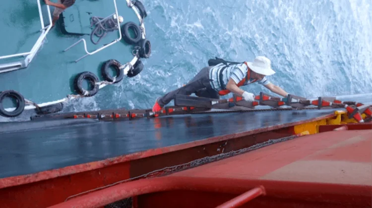 Mengapa Kehadiran Pilot Laut Begitu Vital bagi Pelayaran Dunia
