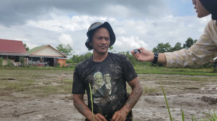 Menilik Potensi Pangan Mandiri dari Perbatasan
