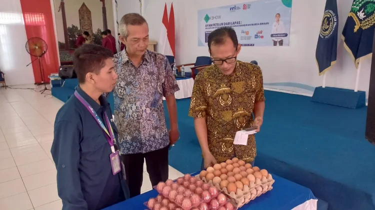 Balai Karantina Hewan, Ikan, dan Tumbuhan Nunukan Belum Menemukan Wabah di Ayam