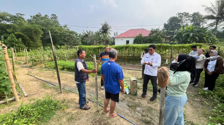 DKPP Kabupaten Nunukan akan Membentuk Kampung Holtikultura