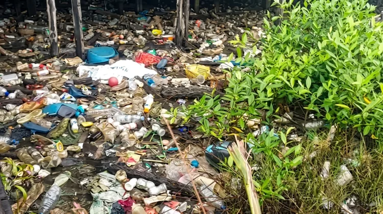 Pelampung Bekas Rumput Laut Jangan Dibuang, Bisa Jadi Uang