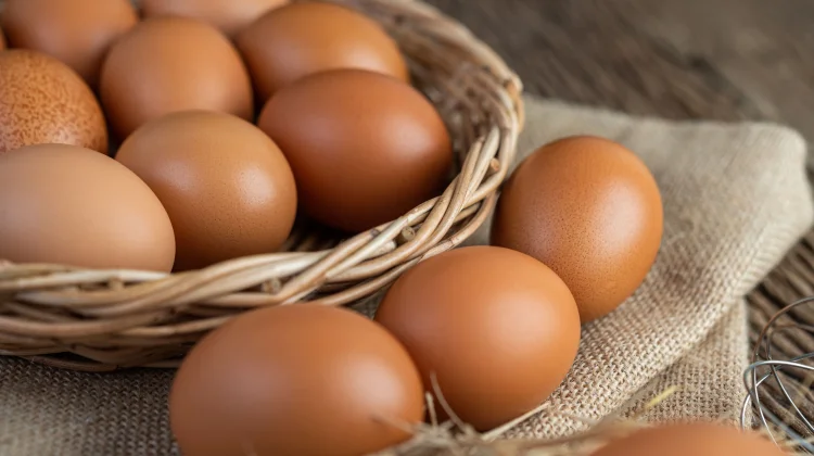 Telur Kaya Nutrisi, Bermanfaat Mendukung Kesehatan Tubuh Sehari-hari