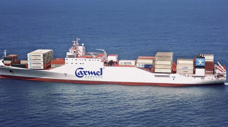 Kapal Pendingin (Reefer): Menjaga Kesegaran Komoditas Mudah Rusak