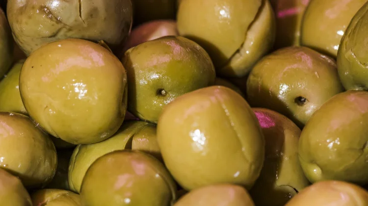 Mengapa Buah Zaitun Segar Tidak Pernah Dijual di Pasaran?