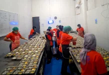Besaran Gaji Relawan SPPG Disusun Berdasarkan Beban Kerja