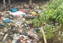 DLH Buka Peluang Tim Khusus Tangani Sampah Pesisir