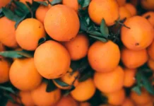 Buah Jeruk, Pilihan Segar untuk Buka Puasa