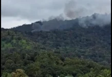 Akibat Cuaca, Pesawat Pengangkut BBM Diduga Jatuh di Krayan, Nunukan