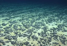 Fenomena Black Oxygen - Oksigen tanpa Bantuan Sinar Matahari