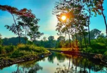 Sungai Terpendek di Indonesia Sekaligus Terpendek di Dunia