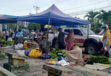 Ketua Pasar Tani Sebut Omzet Capai Rp300 Juta Sekali Pasar