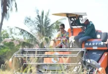 Bupati Nunukan Dorong Modernisasi Pertanian lewat Panen Raya di Mansapa