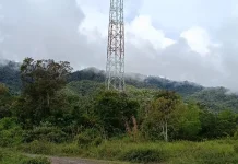 Jaringan Telekomunikasi Jadi Usulan Prioritas Musrenbang 2027 di Krayan Selatan