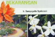 Pesona di Balik Pagar: Lebih dari Sekadar Penghias