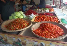 Pasca Idulfitri, Harga Cabai Rawit di Nunukan Mulai Berangsur Turun
