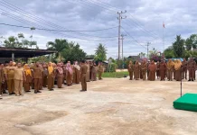 Nur Ainun Harapkan Adaptasi Cepat di Jabatan Baru