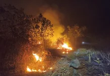 Puluhan Karhutla di Nunukan Diduga Disengaja