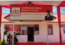 Keterbatasan Sarjana Jadi Kendala Pendampingan Koperasi Desa di Nunukan