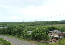 Pemerintah Siapkan Perpres Ganti Untung Lahan Warga Sebatik
