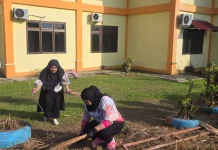 Budaya Bersih Harian Kunci Lingkungan Kantor Tetap Sehat