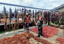 Petani Rumput Laut Allu Apresiasi Kehadiran Babinsa Nunukan