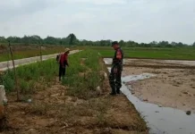 Warga Andi Senang Dapat Pendampingan Babinsa di Sawah