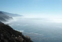 Fenomena Marine Layer, Pengatur Suhu Alami yang Sangat Krusial bagi Ekosistem