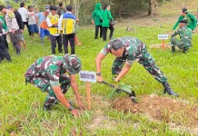 Ratusan Jenis Pohon Ditanam di Lokasi Embung Bolong Nunukan