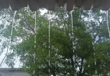 BMKG Nunukan Ungkap Fakta Hujan Tetap Turun meski El Nino Mengancam